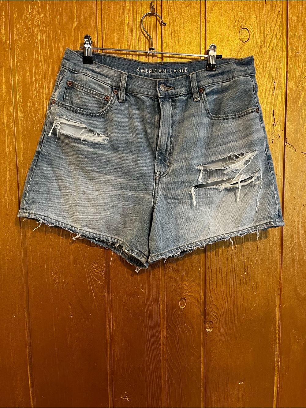 American Eagle Outfitters Strigid Denim Shorts
